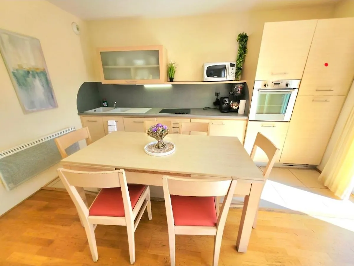Spacious cozy flat near Divonne center Fransa